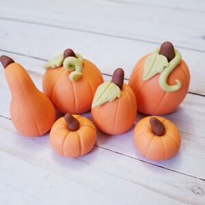 May include: Six miniature pumpkins and a gourd made of orange fondant. The pumpkins have brown stems and green leaves. The gourd has a brown stem.