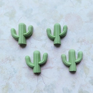 Fondant Cactus - Etsy