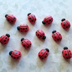3D Ladybugs Cupcake/Cake Toppers