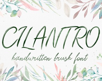 Sale% Cilantro - digital font. Calligraphy font. Handwritten font. Script font. Scratched font. Brush script font. Instant Download.