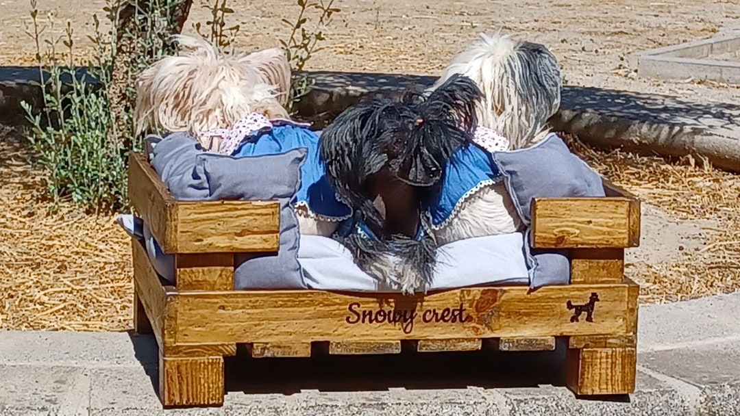 Personalized Dog Bed for Large Dogs Wooden Pet Beds for Small Etsy