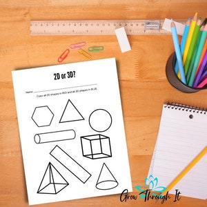 1st Grade Worksheet -2D VS 3D Shapes- 1st Grade Math Curriculum Worksheets- Printable Activities