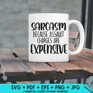 Funny Sarcastic SVG- Sarcasm because assault charges are expensive- Cricut Silhouette- Inappropriate Humor - Sarcasm Digital File - Sarcasm