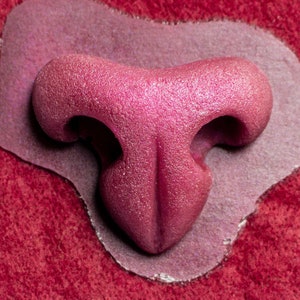 Silicone Nose, Medium Feline