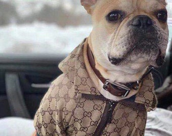 gucci animal jacket