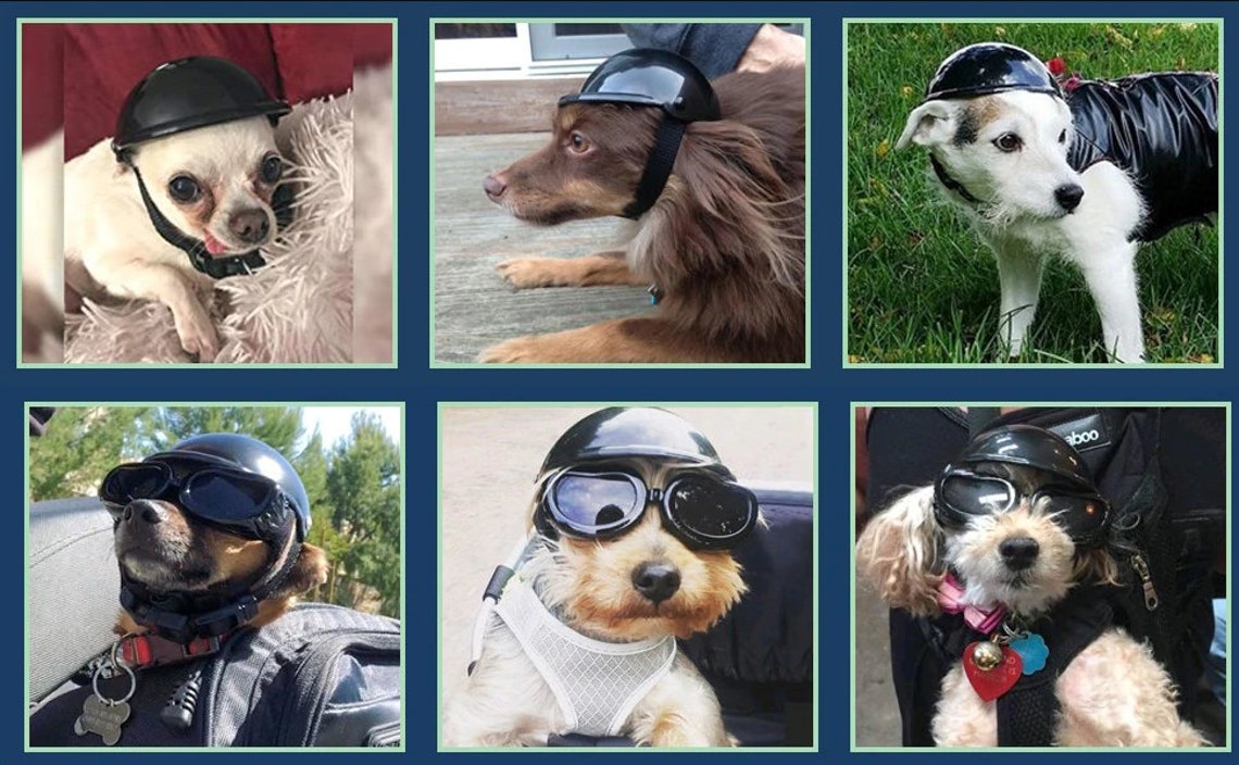 Dog Motorcycle Helmet with Spinner Option Pet Safety Riding Etsy