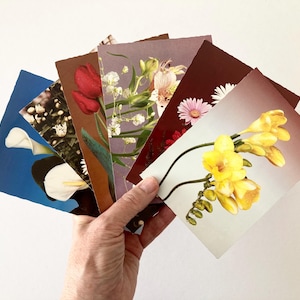 Vintage Floral Postcards – Set of 6