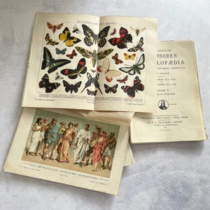 May include: An open book page displays colorful illustrations of various butterflies and moths labeled Butterflies and Moths. Another page shows historical figures in ancient attire titled Fashion: Ancient and Modern. A book cover reads Chambers's Cyclopædia.