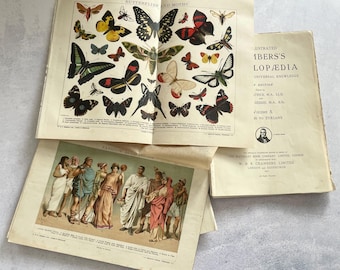 Antique 1925 Illustration Pack  - 40 Nature, Science, Historical Subjects