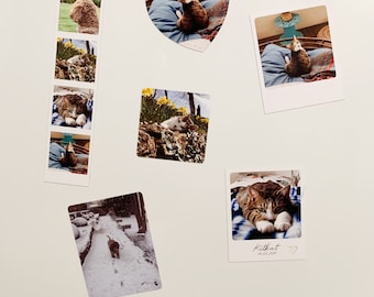 Custom Photo Magnets | Custom Printed Photo Magnets