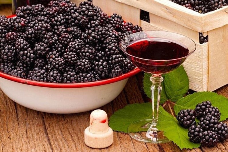 May include: A still life image featuring a bowl and a wooden crate overflowing with fresh blackberries. A glass of red liquid, a cork, and a few blackberries rest on a wooden surface, suggesting a beverage or dessert theme.