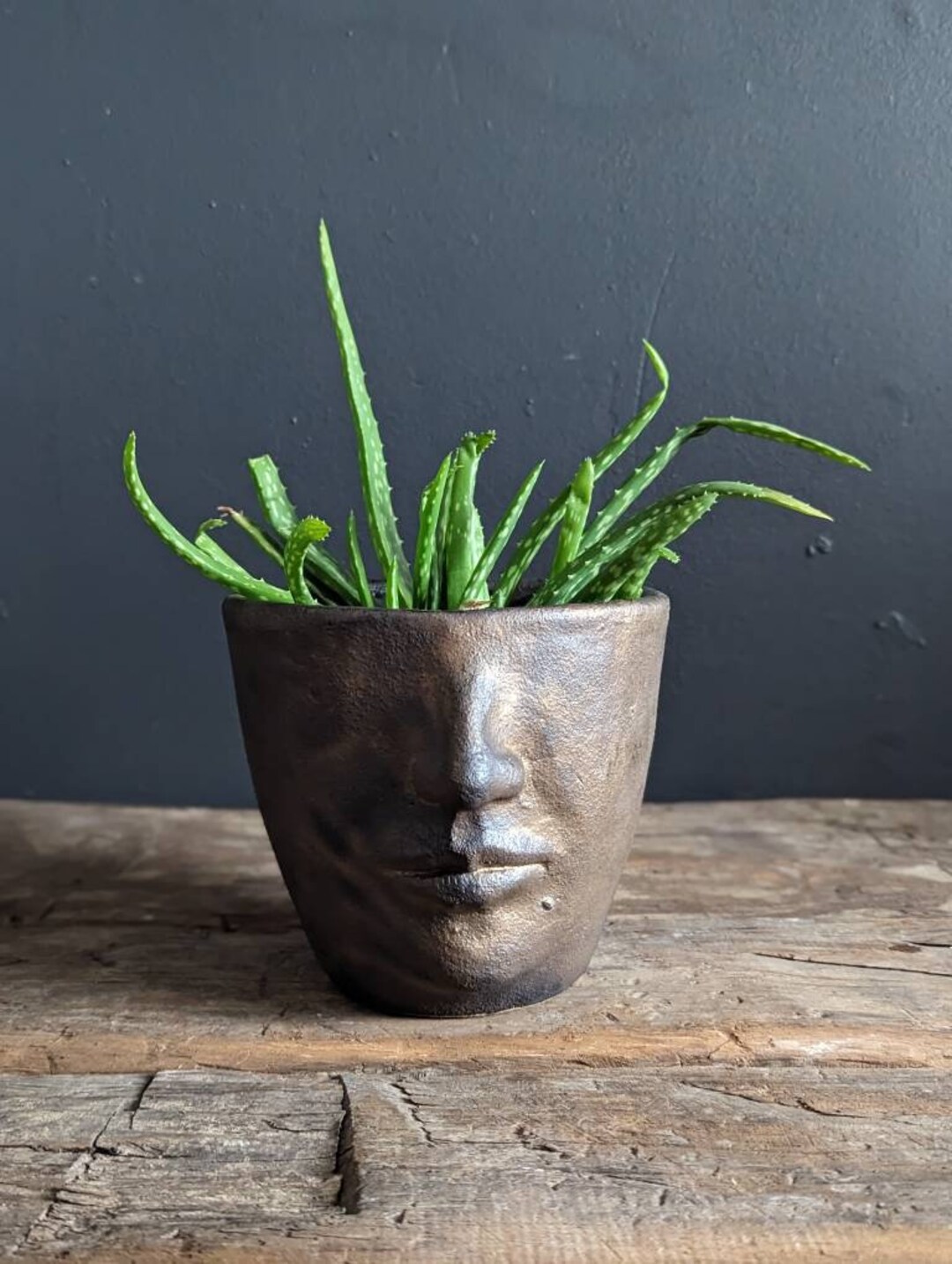 Blumentopf mit Gesicht handgemachter Übertopf mit einem Etsy.de