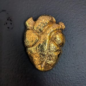 Könnte beinhalten: Eine goldfarbene, strukturierte anatomische Herzskulptur. Das Herz ist mit Venen und Kammern detailliert und hat eine metallische, reflektierende Oberfläche. Die Skulptur ist ein fester, dreidimensionaler Gegenstand, vor dunklem Hintergrund.
