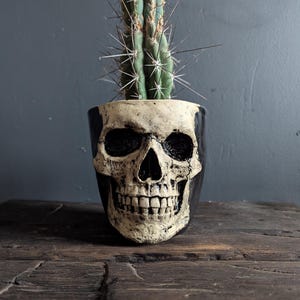 Puede incluir: Un macetero en forma de calavera negro y blanco con una planta de cactus verde que crece en la parte superior.
