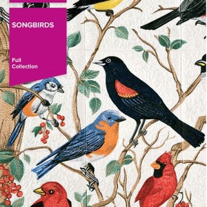 Oiseaux chanteurs Anita Gooddesign CD Neuf