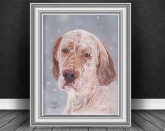English Setter fine art Giclee print, from original hand drawn coloured pencil original