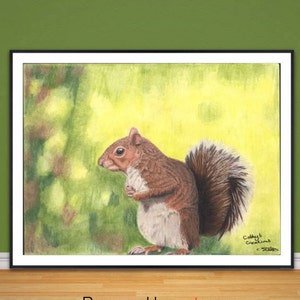 Eichhörnchen Fine Art Giclée-Druck, von Hand gezeichneter Buntstift-Original.