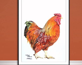 Rooster fine art giclee print, from hand drawn coloured pencil original.