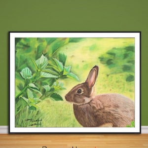 Impresión giclée de bellas artes de conejo, a partir de una obra de arte original dibujada a mano con lápiz de color.
