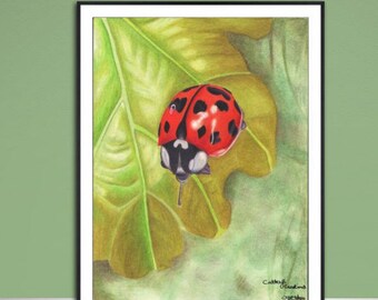 Ladybird fine art Giclee print, from hand drawn coloured pencil original artwork.