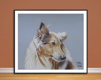 Rough Collie fine art giclee print, from hand drawn coloured pencil original artwork.