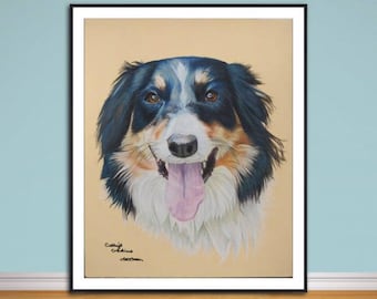 Border Collie dog fine art print, from hand drawn coloured pencil original.