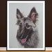 see more listings in the Dogs section