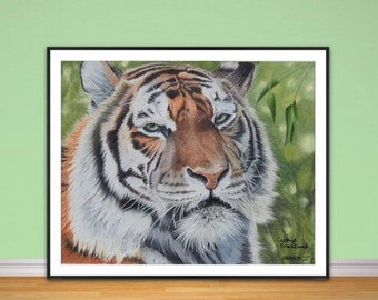 Tiger fine Giclee art print, from original hand drawn coloured pencil original artwork