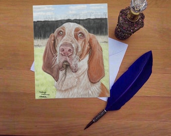 Bracco Italiano Greetings Card, Blank high quality printed cards from hand drawn fine art original.