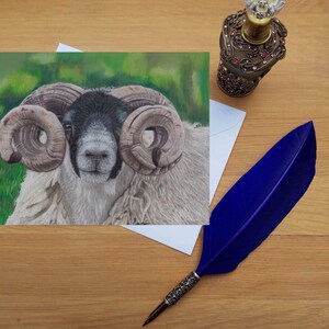 Peut inclure: Gros plan sur un mouton blanc avec des marques noires sur le visage. Le mouton a de grandes cornes recourbées. Le mouton est debout dans un champ herbeux.