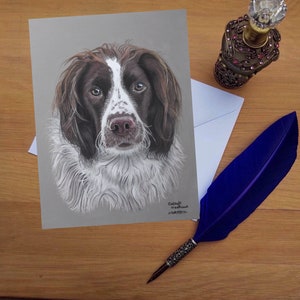 Springer Spaniel wenskaart, blanco gedrukte kaarten van hoge kwaliteit van handgetekende originele kunst.