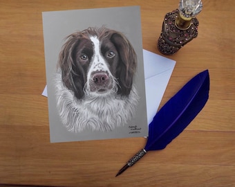 Springer Spaniel Greetings Card, Blank high quality printed cards from hand drawn fine art original.