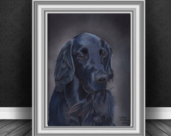 Impresión Giclée de bellas artes de un retriever de pelo liso negro, a partir de un original pastel dibujado a mano.