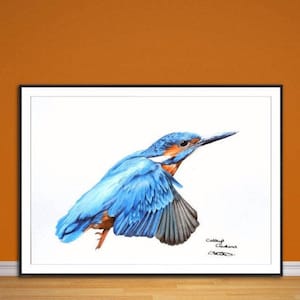 Kingfisher fine art giclee print, from hand drawn coloured pencil original.