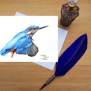 Eisvogel Karte, Blankokarten von handgezeichneten Fine Art Originalen.