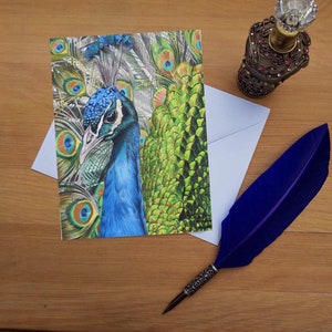 Pfau Karte, Blanko hochwertige gedruckte Karten von handgezeichneten Fine Art Original.