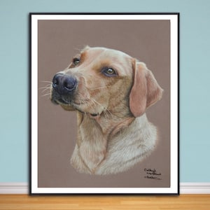 Fox Red  Labrador fine art giclee print, from hand drawn coloured pencil original.
