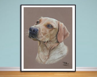 Fox Red  Labrador fine art giclee print, from hand drawn coloured pencil original.