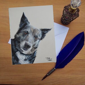 Tarjeta de felicitación Border Collie, tarjetas impresas en blanco de alta calidad de originales de bellas artes dibujadas a mano.