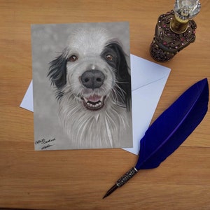 Border Collie Grußkarte, blanko hochwertig gedruckte Karten von Hand gezeichnet Fine Art Original.