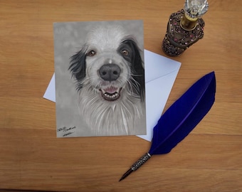 Border Collie Greetings Card, blank high quality printed cards from hand drawn fine art original.