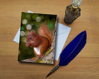Squirrel greetings card, Blank high quality printed cards from hand drawn fine art original.