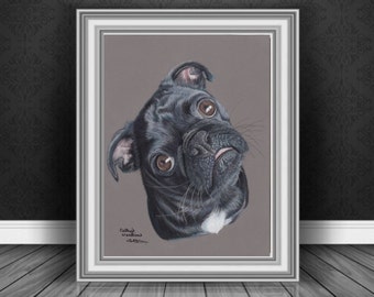 パグ - 色鉛筆画プリント - 犬のイラスト - アーティスト Gary Tymon