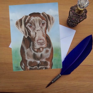 Carte de voeux mélange Labrador chocolat, cartes imprimées vierges de haute qualité à partir d'oeuvres d'art originales dessinées à la main.