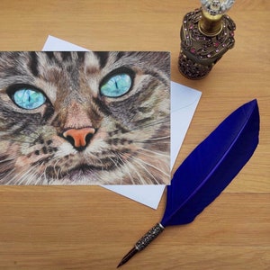 Maine Coon Cat greetings card, Blank high quality printed cards from hand drawn fine art original.