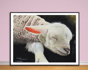 Lamb fine art Giclee print, from hand drawn original artwork