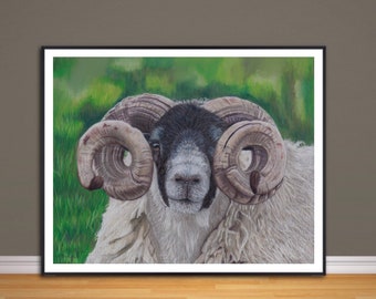 Stampa artistica Giclée di pecore, da un'opera d'arte originale disegnata a mano con pastelli