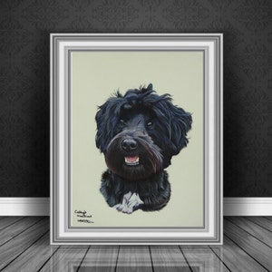 Black Tibetan Terrier  fine art Giclee print, from hand drawn coloured pencil original artwork.