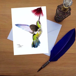 Kolibri Karte, Blankokarten von handgezeichneten Fine Art Originalen.
