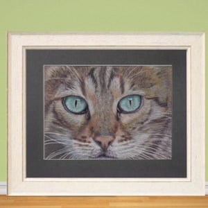 Impresión Giclée de bellas artes de gato de Bengala, a partir de una obra de arte original dibujada a mano con lápiz de color.